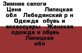 Зимние сапоги “Tervolina“ › Цена ­ 3 500 - Липецкая обл., Лебедянский р-н Одежда, обувь и аксессуары » Женская одежда и обувь   . Липецкая обл.